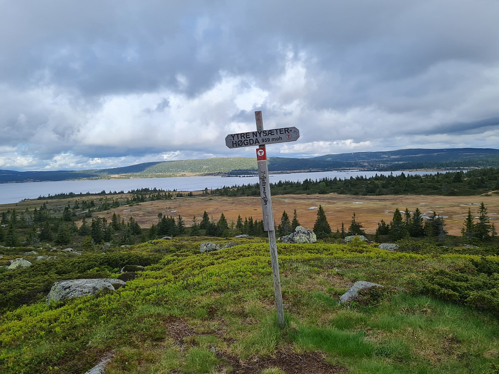Ytre Nyseterhøgda