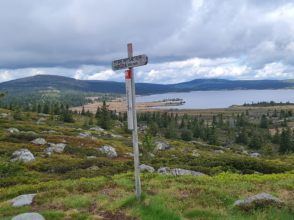 Ytre Nyseterhøgda