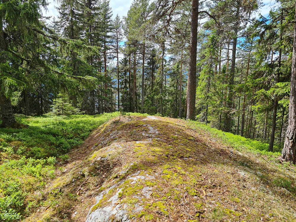 Rundhaugen
