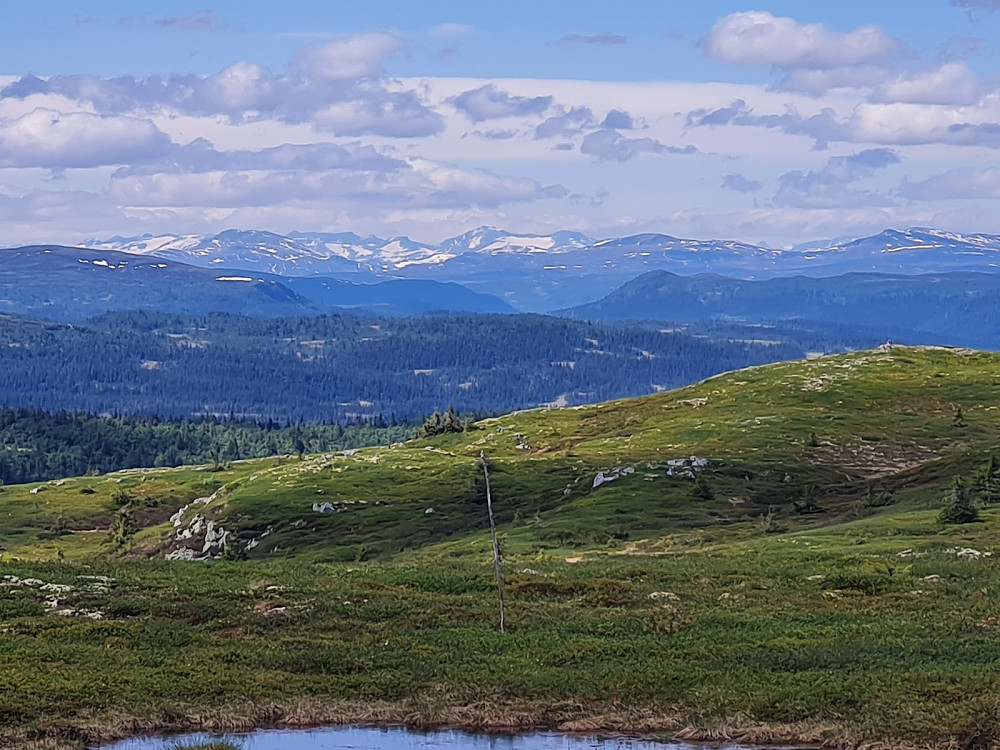 Utsikt mot Jotunheimen