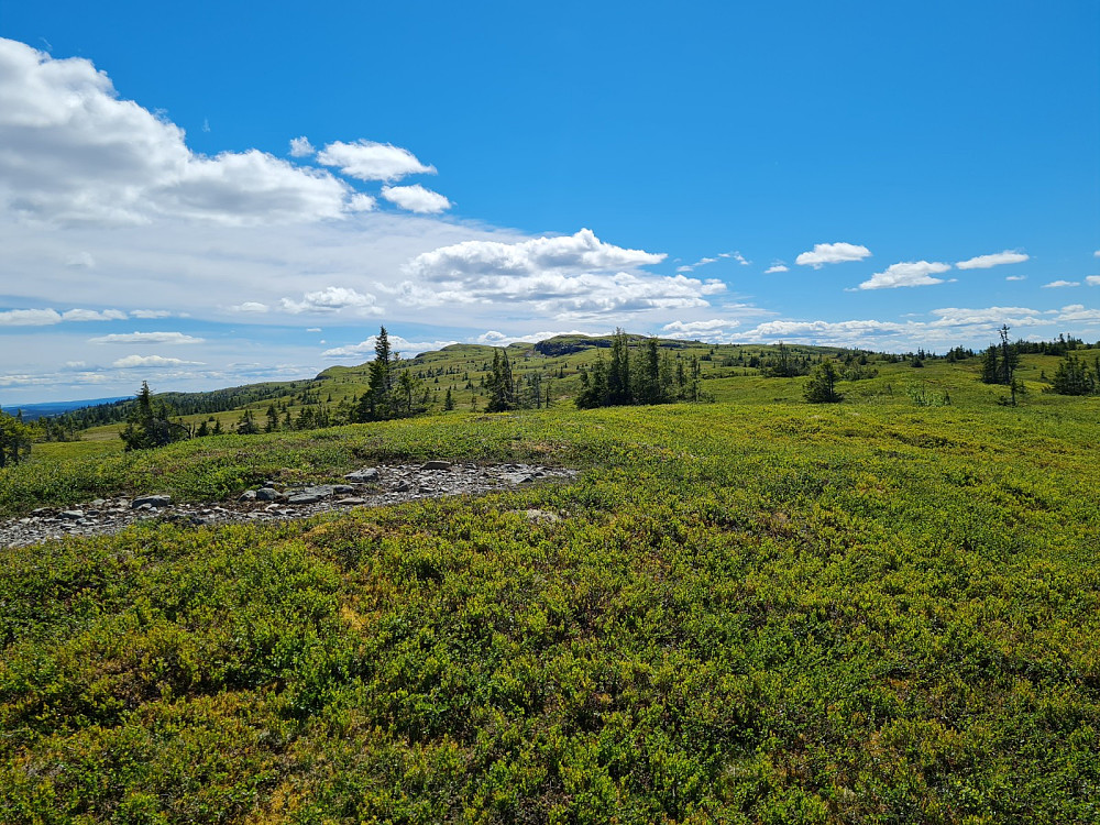 På Condruphaugen