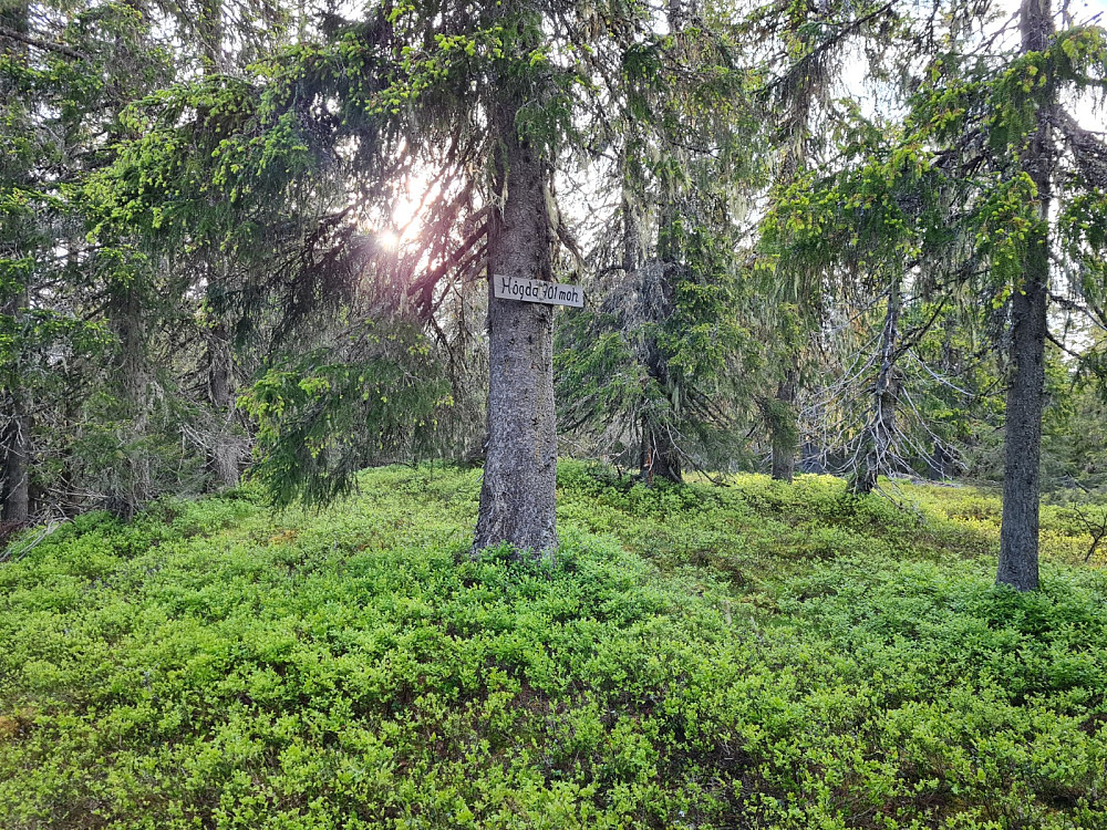 Storseterhøgda
