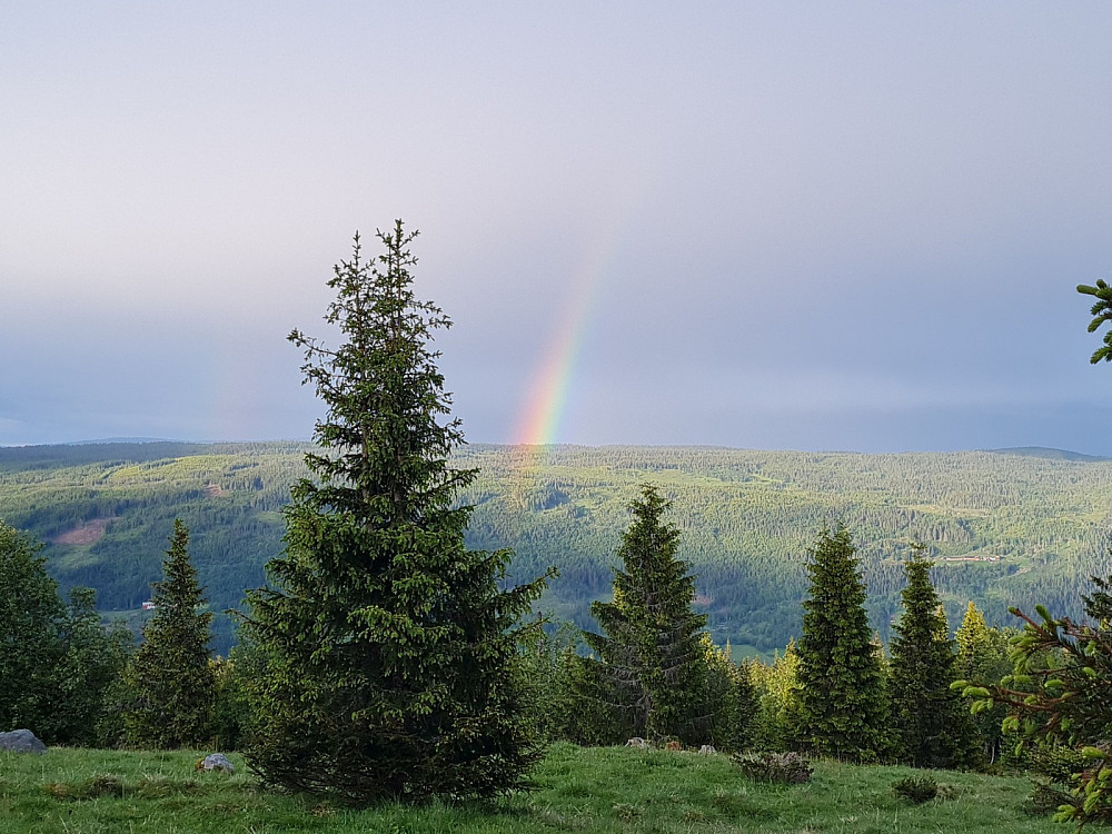 Regnbue over Rindåsen
