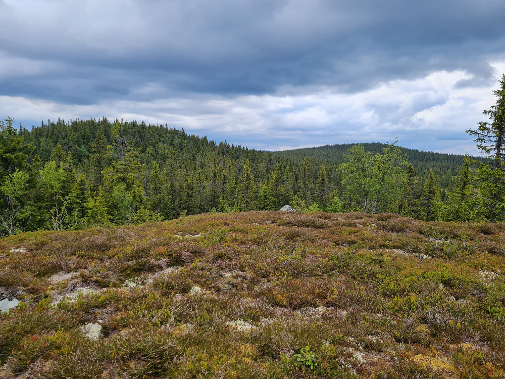 På Veslehaugen øst, mot Storhaugen og Grøtåshaugen