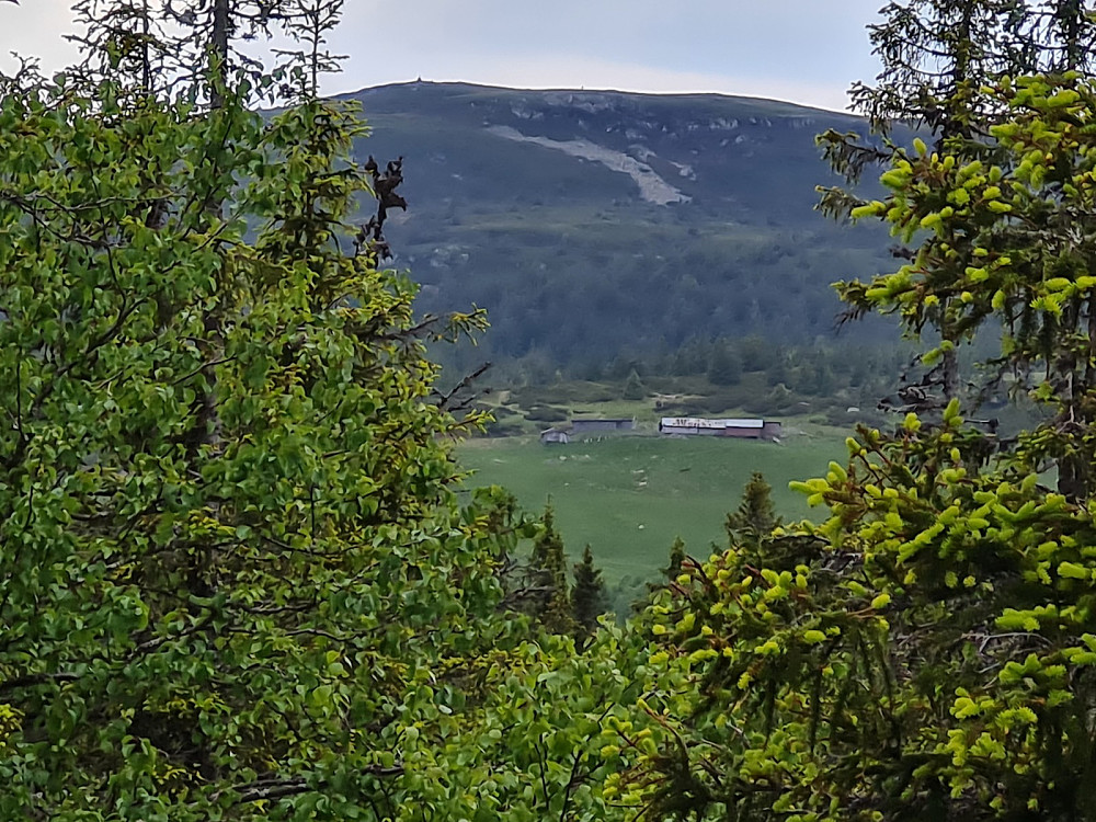 Utsikt mot Flugstadsetra og Prestkjerringa