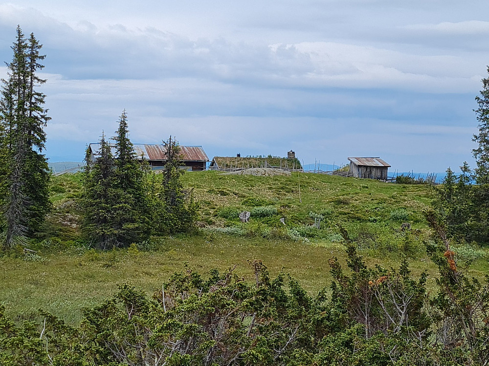 Systugu Bergs seter på Grøtåsen
