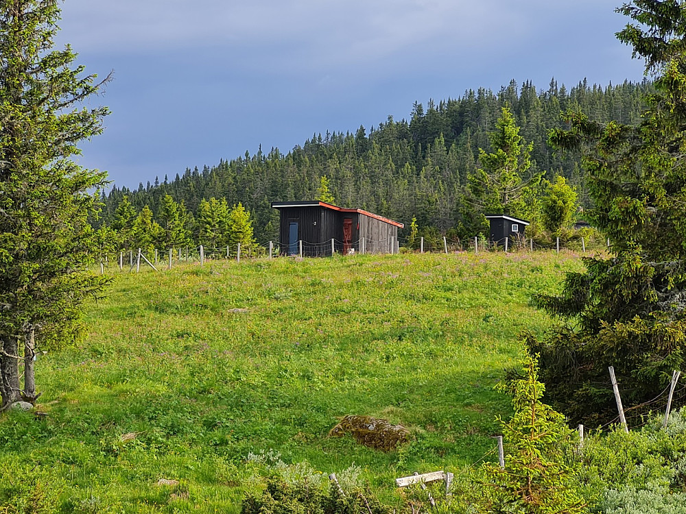 Nerjordsetra på Grøtåsen