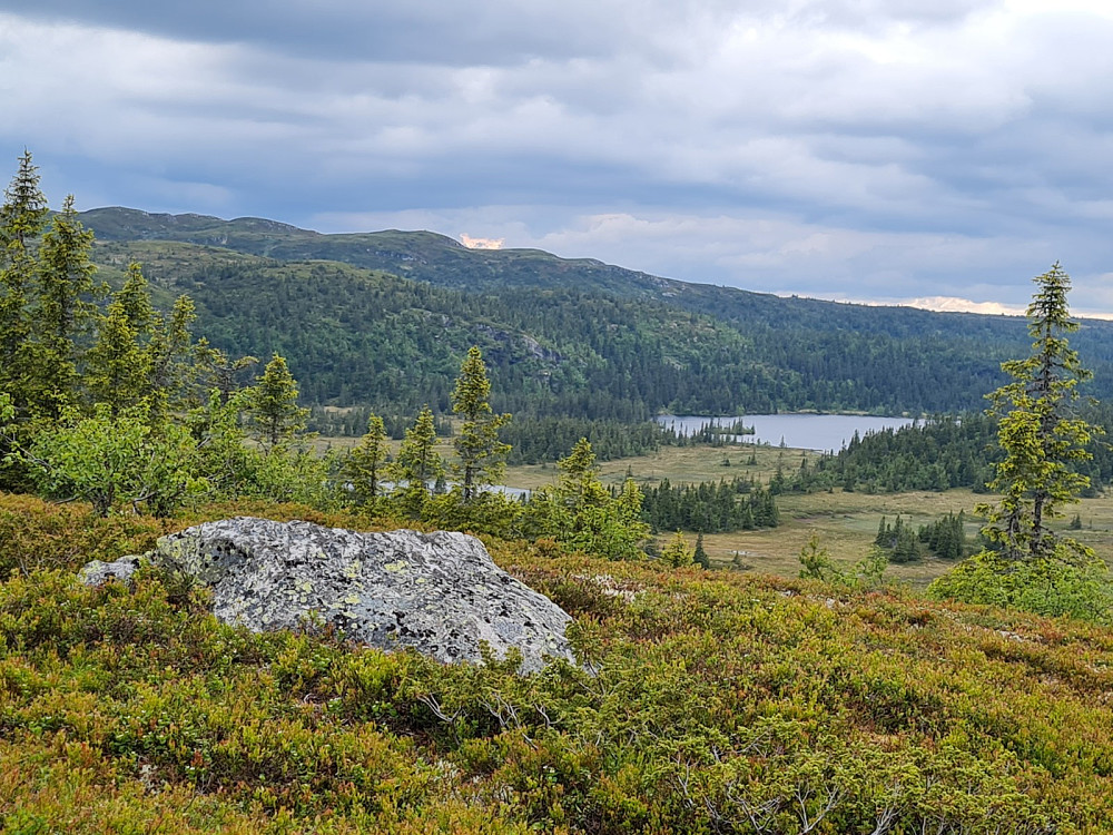 Utsikt fra Storhaugen, mot Skjelbreidsfjellet og Hindassjøen