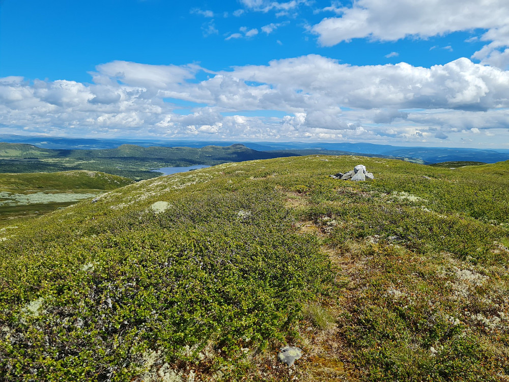 På Avlundskampen S1