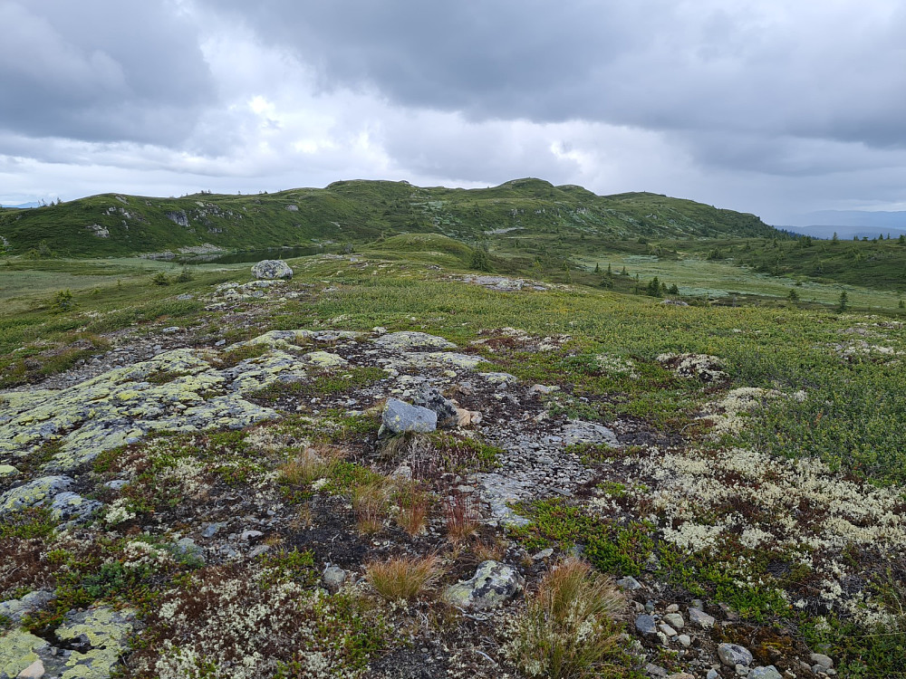 På Rævskorotjernhaugen