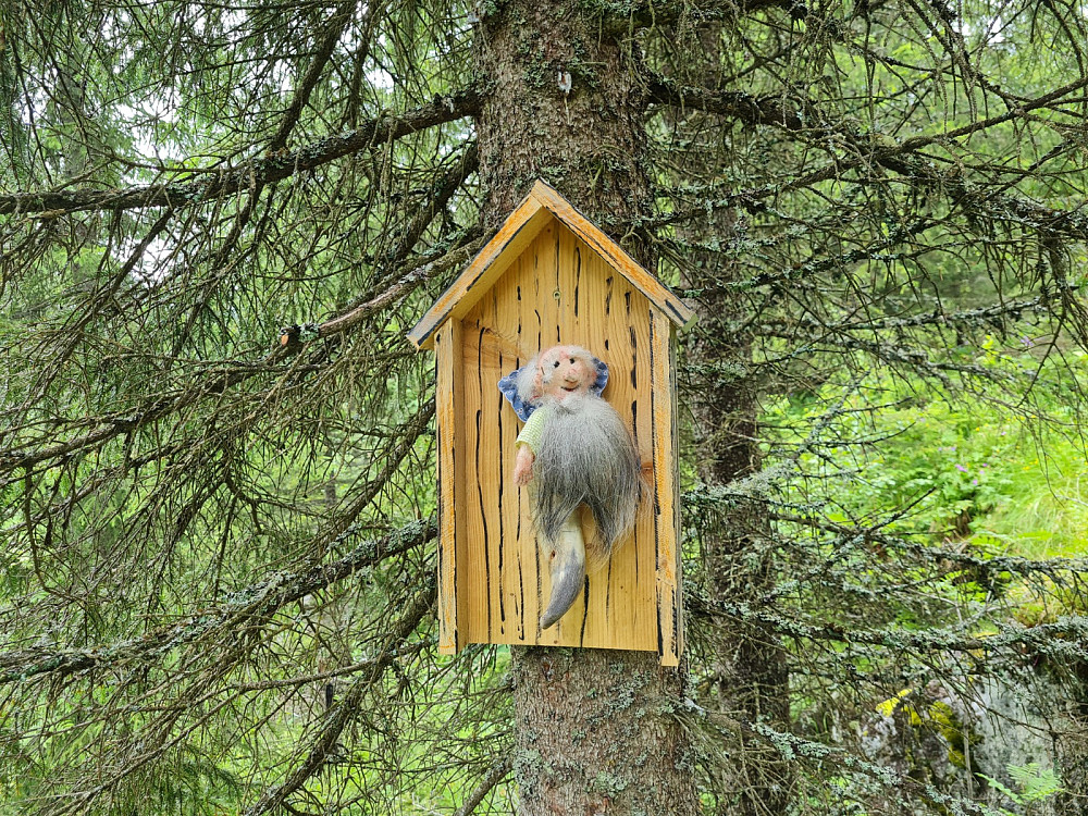 Fra råket langs Ulva