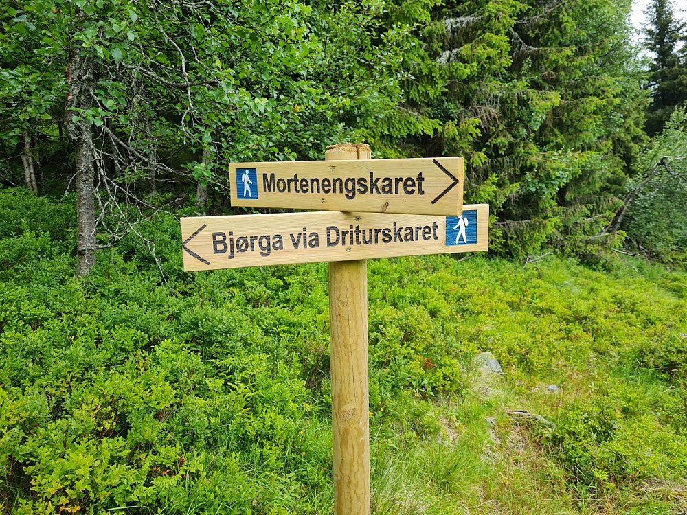 Ved Bjørgelykkja