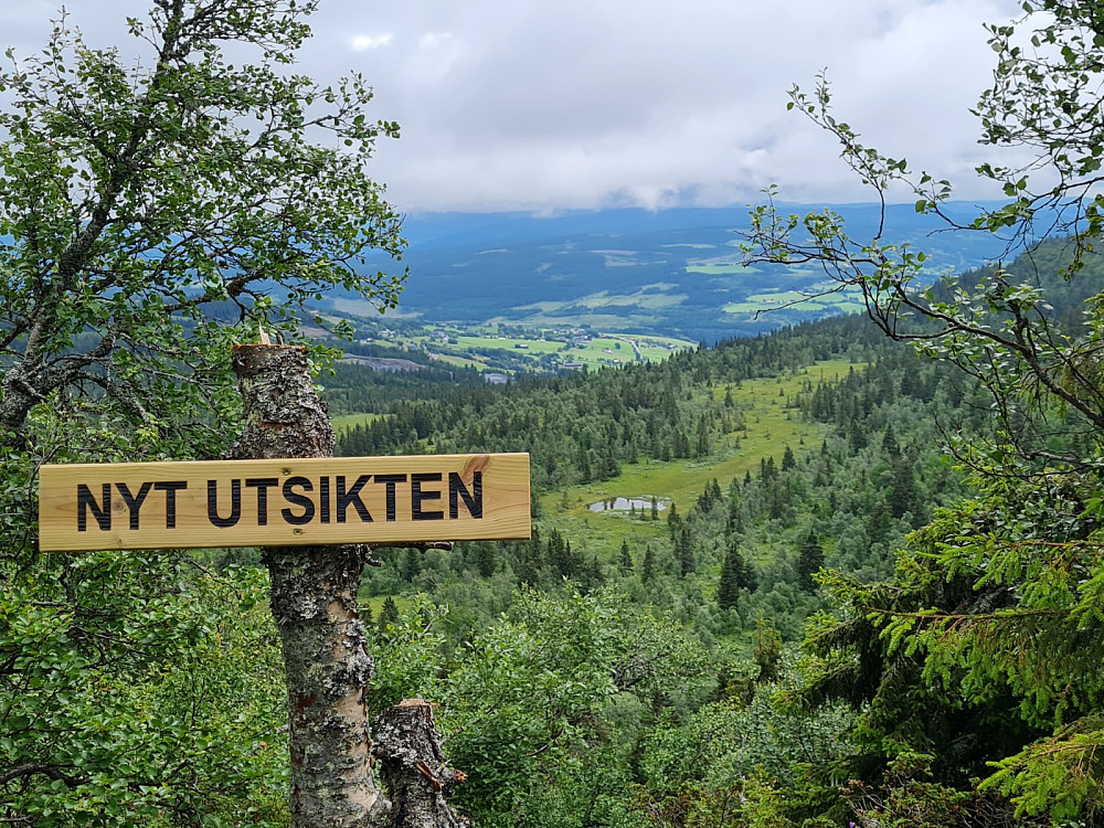 Utsikt fra Driturskaret
