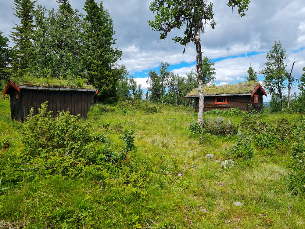 Svabekkbua