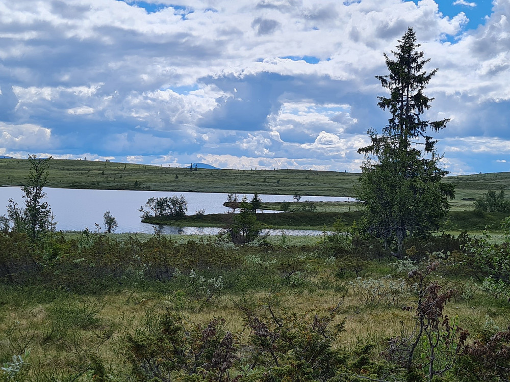 Mossjøen, Djuptjernskampen i bakgrunnen