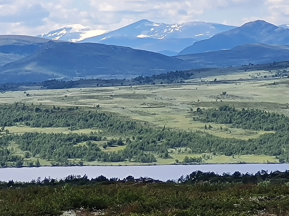 På Vetafjellet, mot Glittertind og Nautgardstind