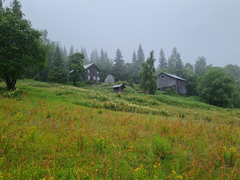 Hammershaug