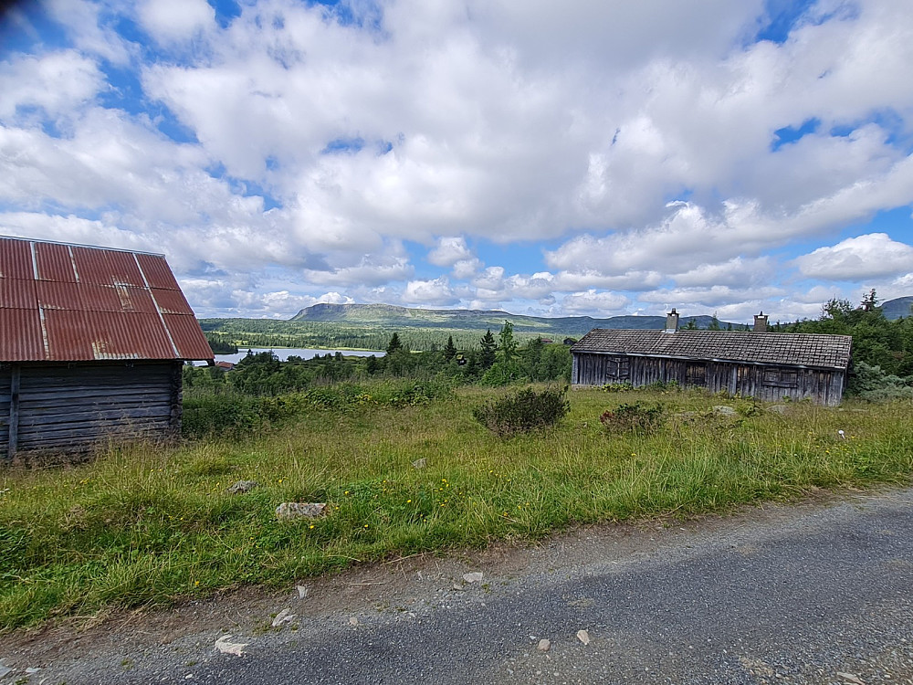 Startet å gå ved Systuggusetra, setra til Midtre Reistad