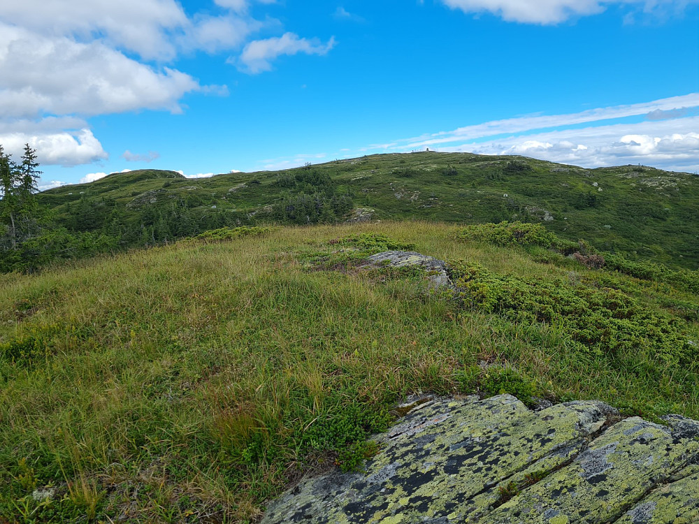 På Skjenafjellet nord
