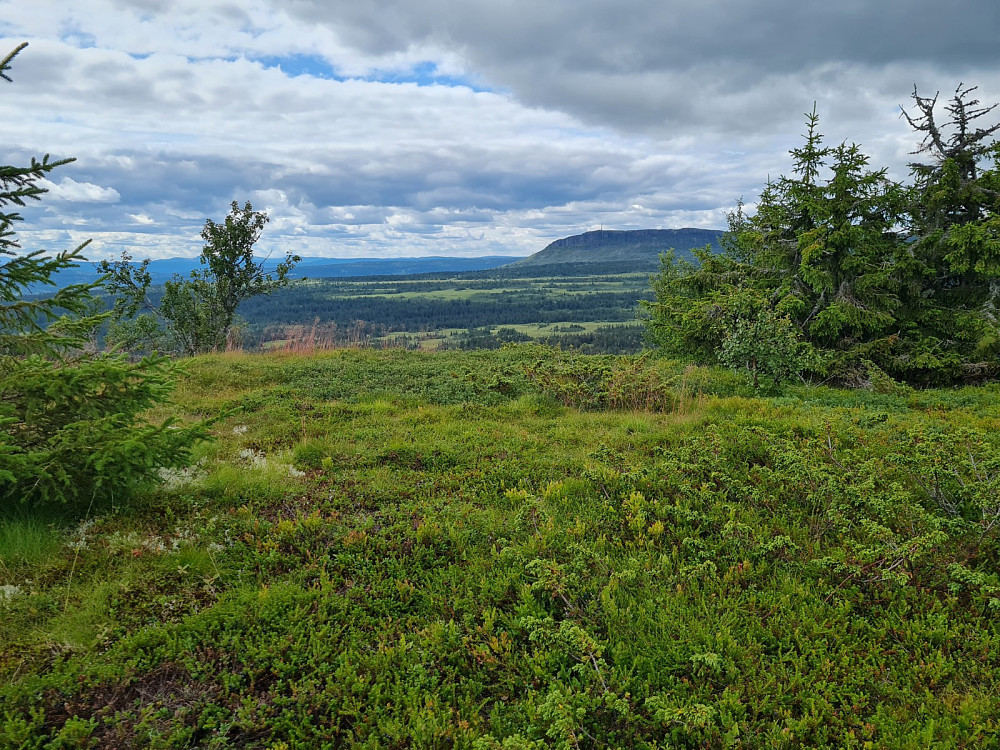 På Goddalsrundhaugen