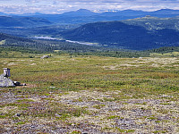 repelo_20240728_66a64d65b2ef8.jpg