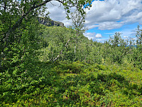 repelo_20240728_66a64d67bee42.jpg
