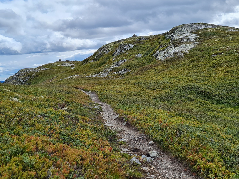 Myssmørhelje og Hindalsfjellet