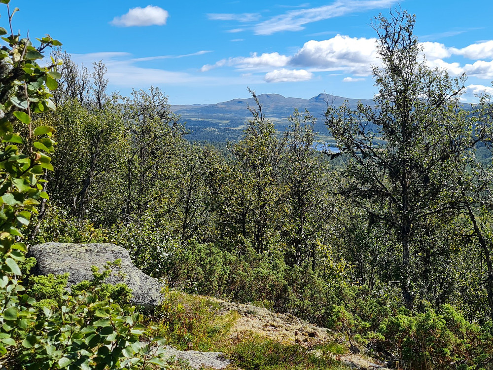 På Ytre Liomseterhøgda