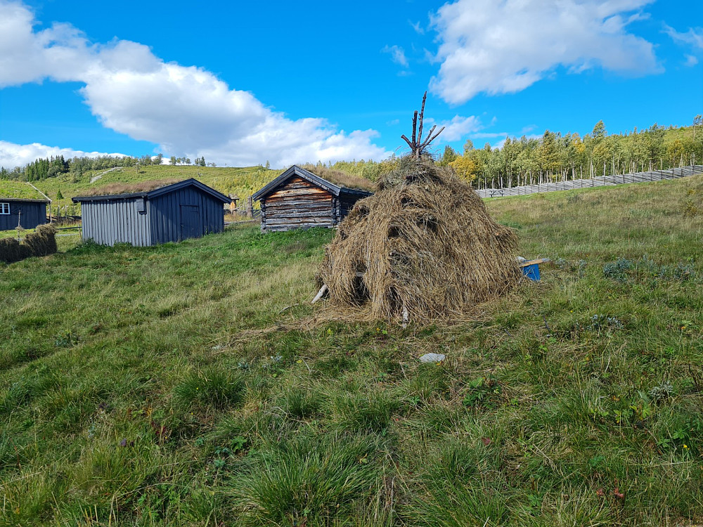 Tørking av høy på Liomseter