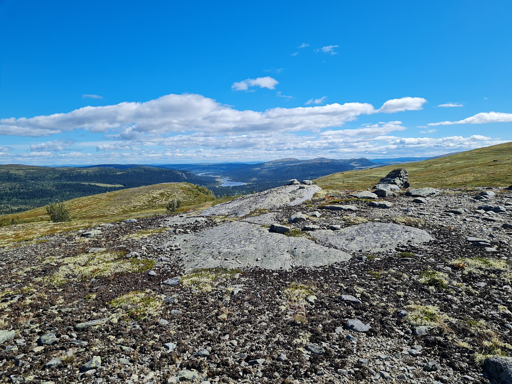 På Midtre Vågskardsfjellet, mot Mjødokka