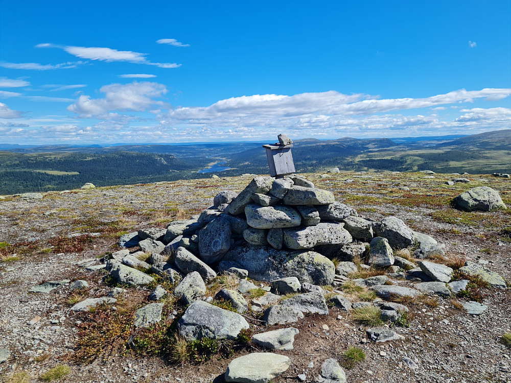 På Vågskardsfjellet, mot Mjødokka