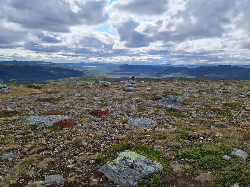 Sørtoppen på Nordre Suluhø