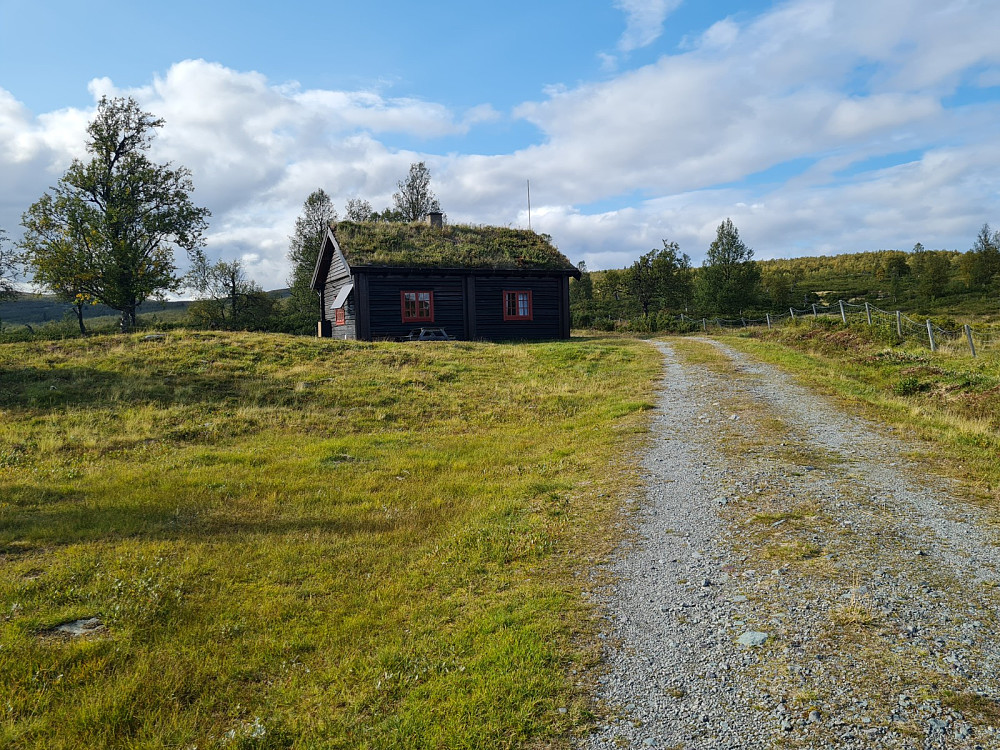 Fehytta på Liomserer