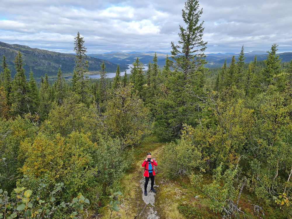 På Obleikhaugen
