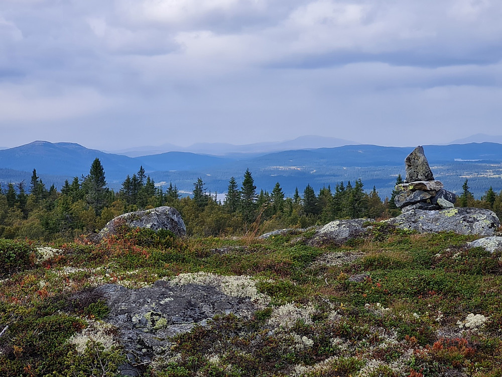 Blesterråkvarden