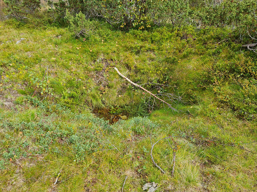 Dyregrav ved Blesterråket