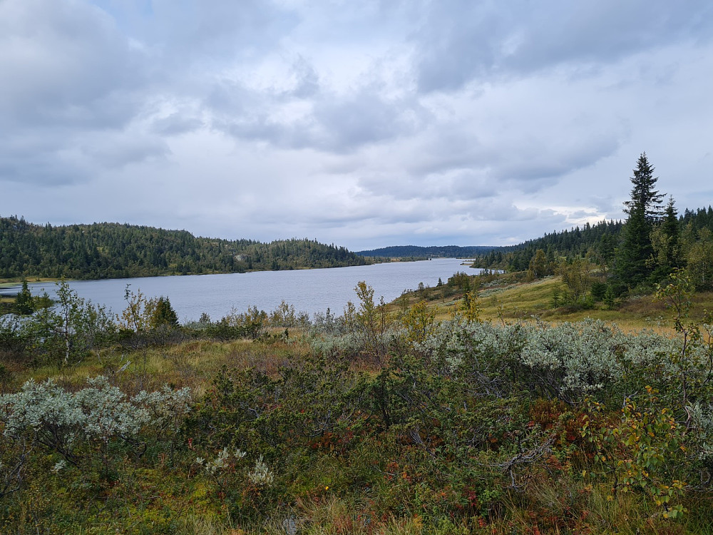 Mjogsjøen