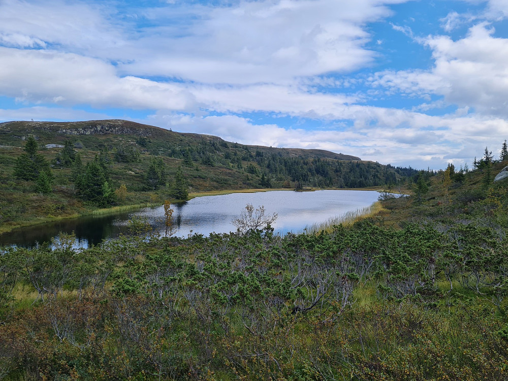 Endrelitjønnet