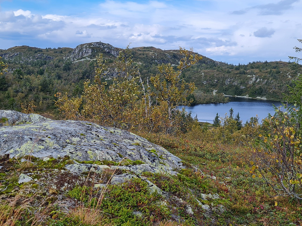 På Gaustumseterhøgda, mot Kjettberget