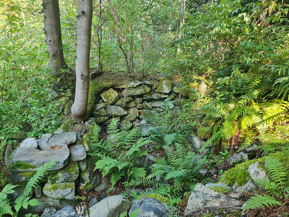 Høyenhall