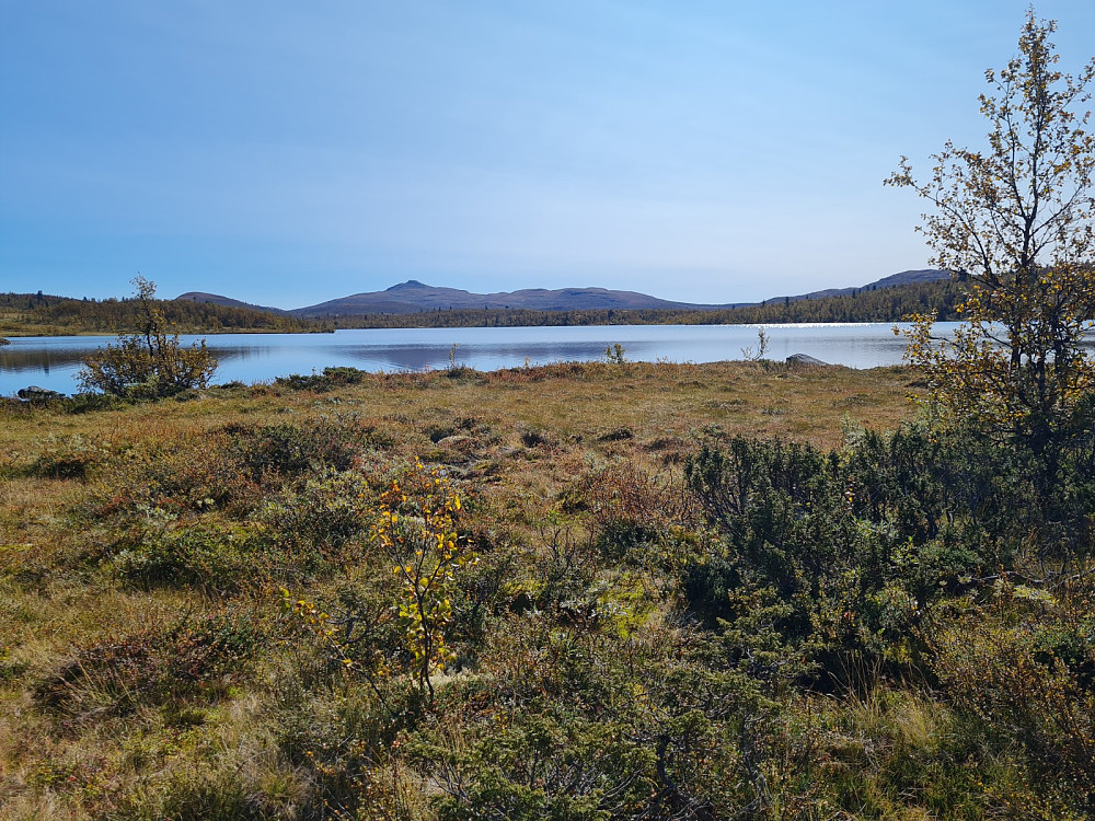 Nedre Reinsjøen, mot Djuptjernskampen