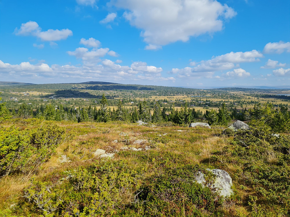 På Indre Nysæterhøgda