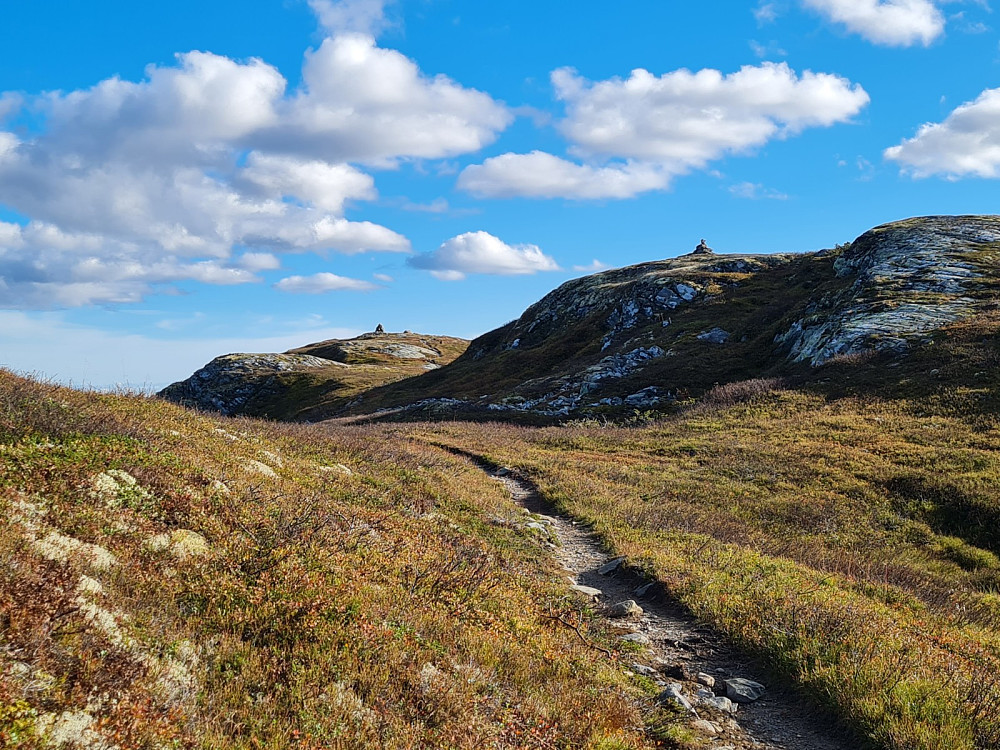 Myssmørhelje og Hindalsfjellet
