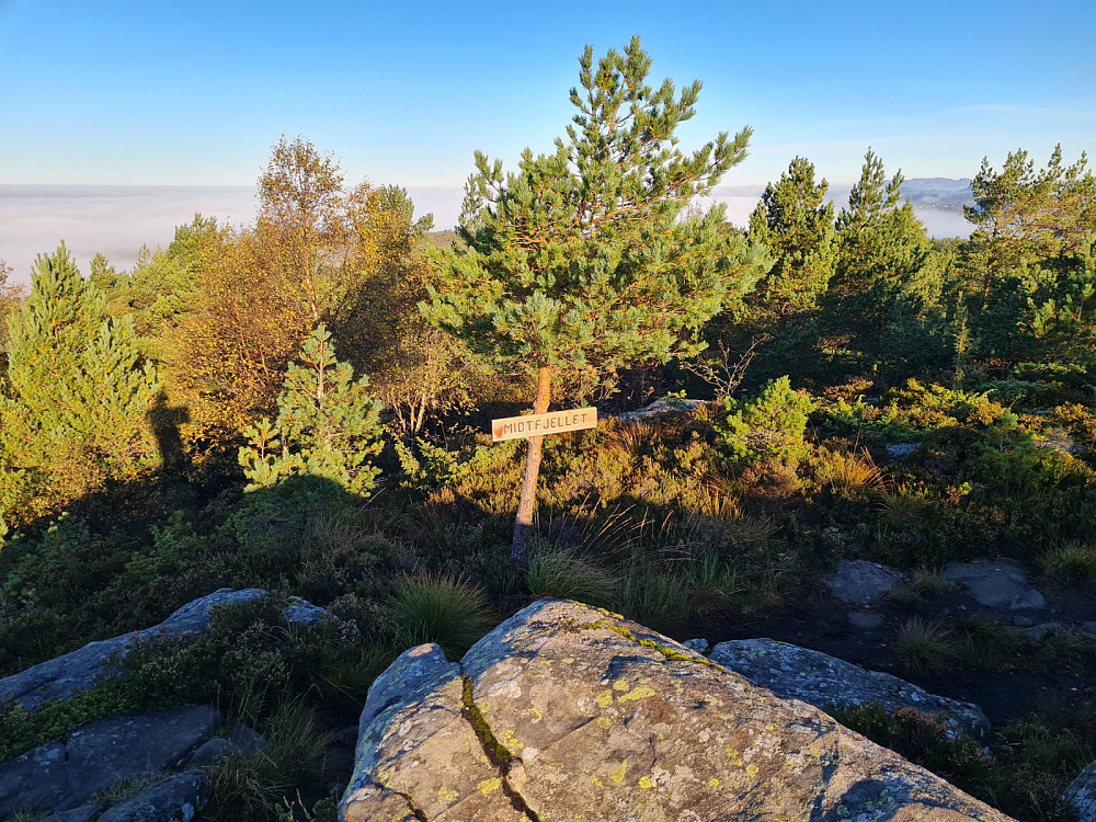 Midtfjellet