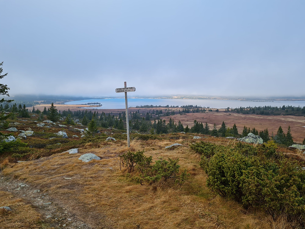 Ytre Nysæterhøgda