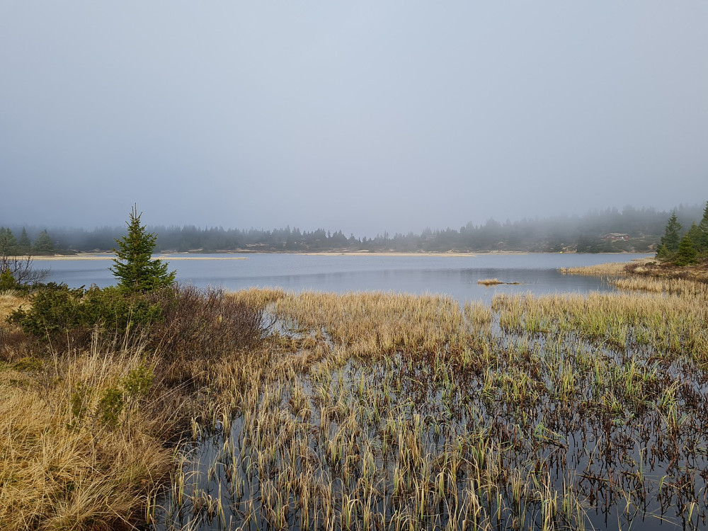 Malmtjørnet