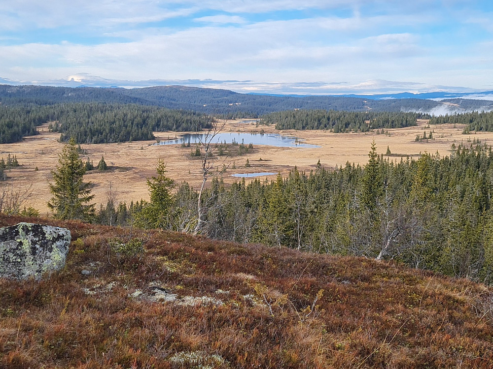 Utsikt fra Storhaugen, mot Erstjønnet