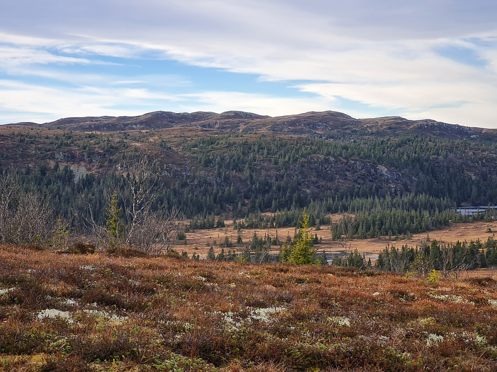 På Storhaugen, mot Skjelbreidsfjellet