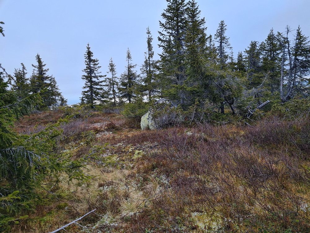Rypfjellet