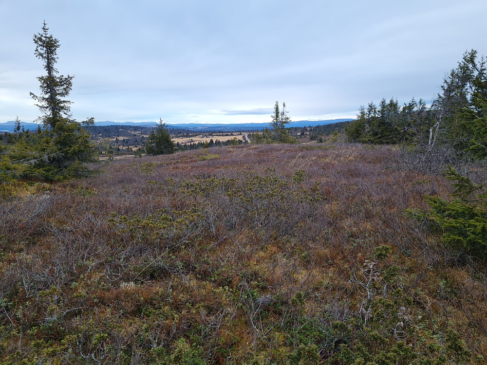 Søre Hærfjellet